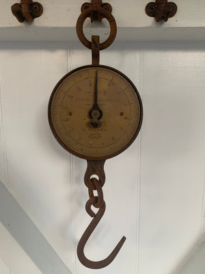 Detail of hanging hook on Salter 150lb spring balance
